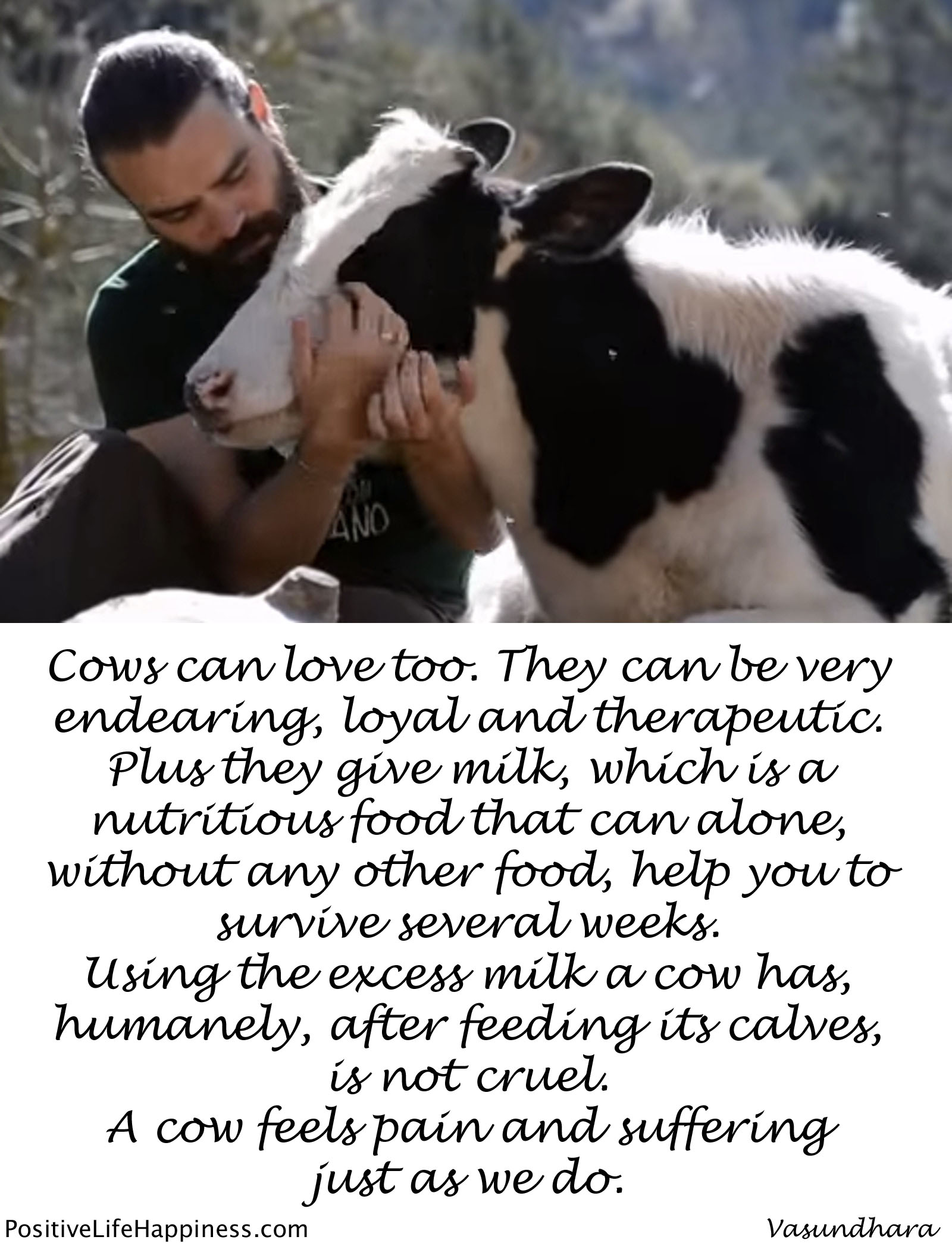 Cows can love too