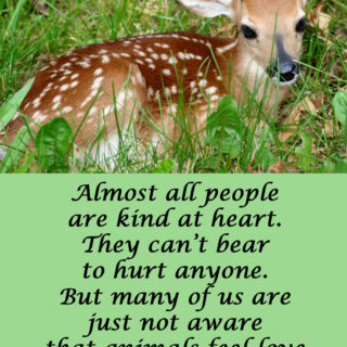 Almost all people are kind at heart