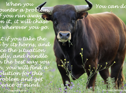 Take-the-bull-by-its-horns