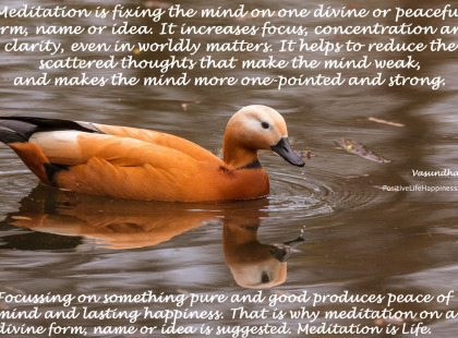 Meditation-is-good-for-you