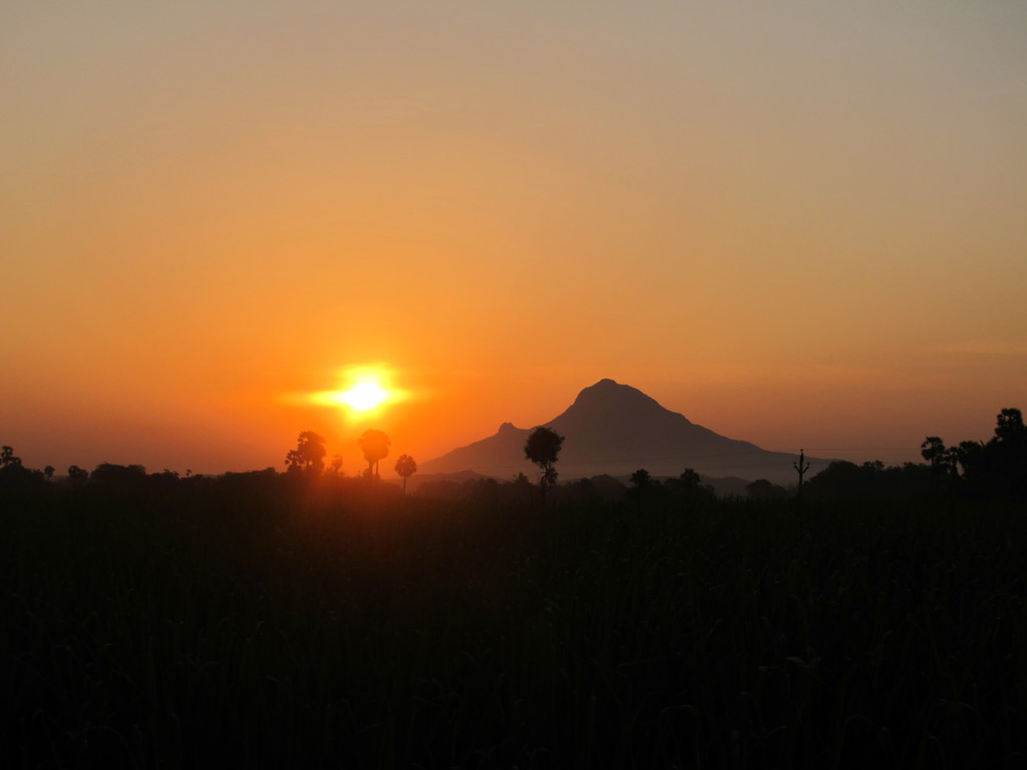Arunachala Hill