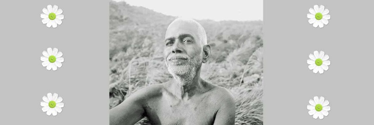 Devotees Speak