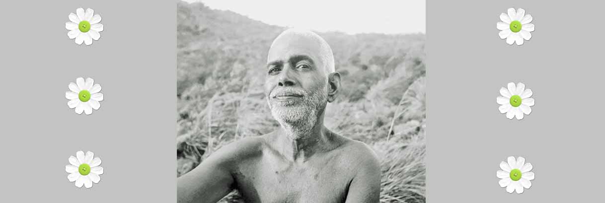 Devotees Speak