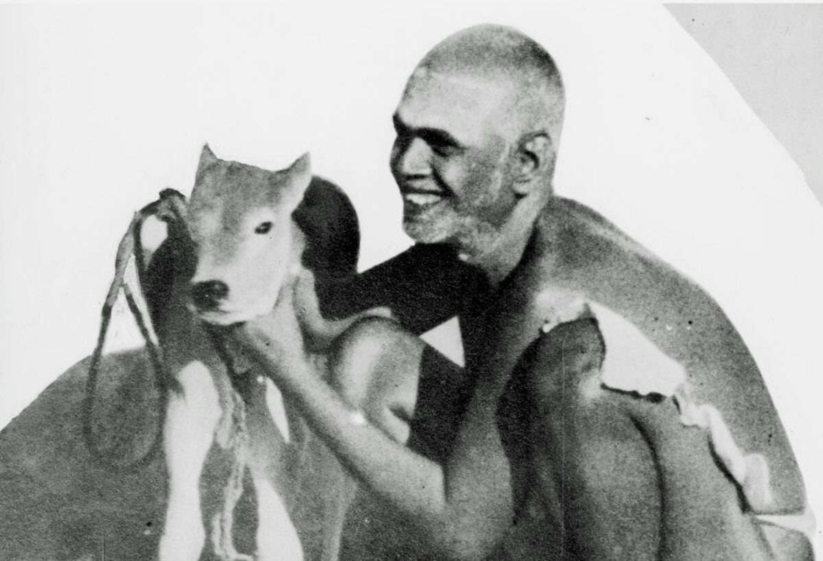 Ramana with deer