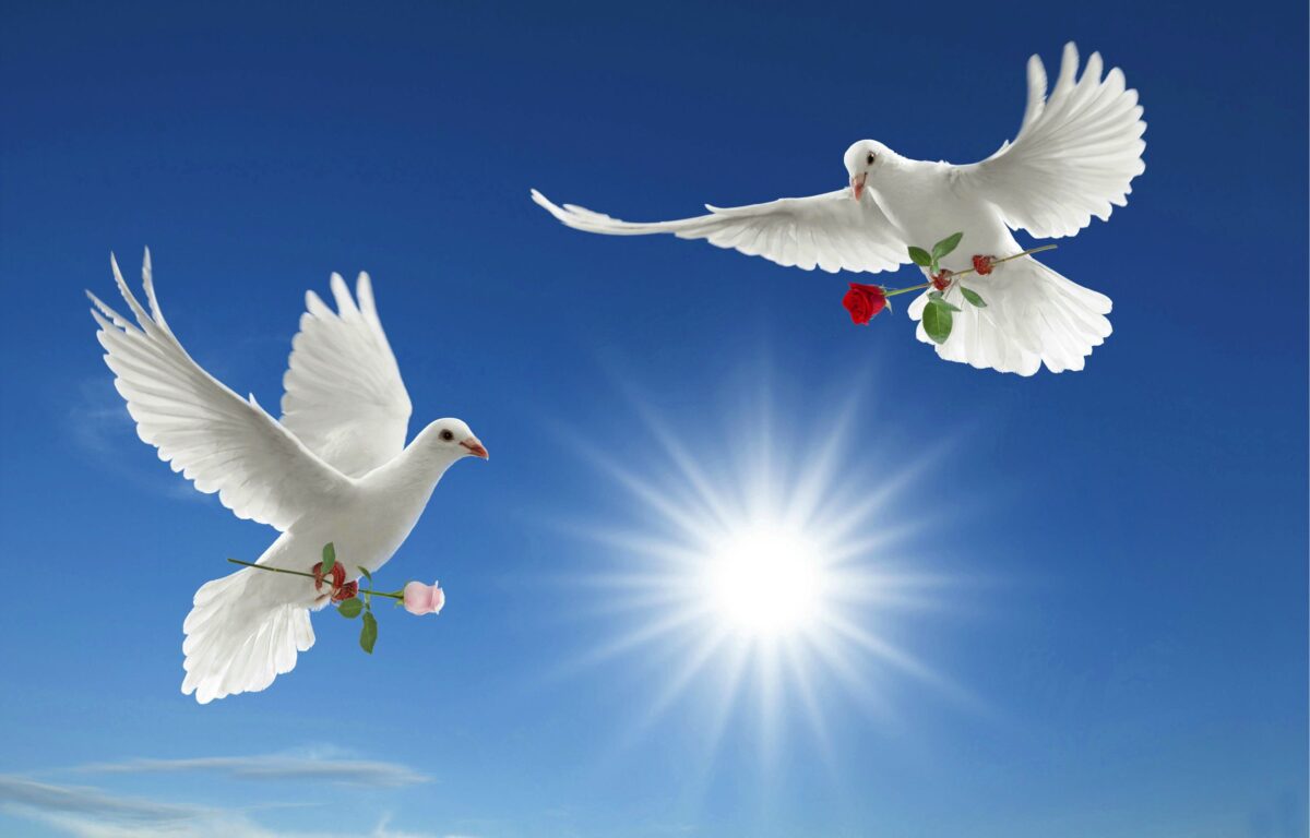 God is guiding us