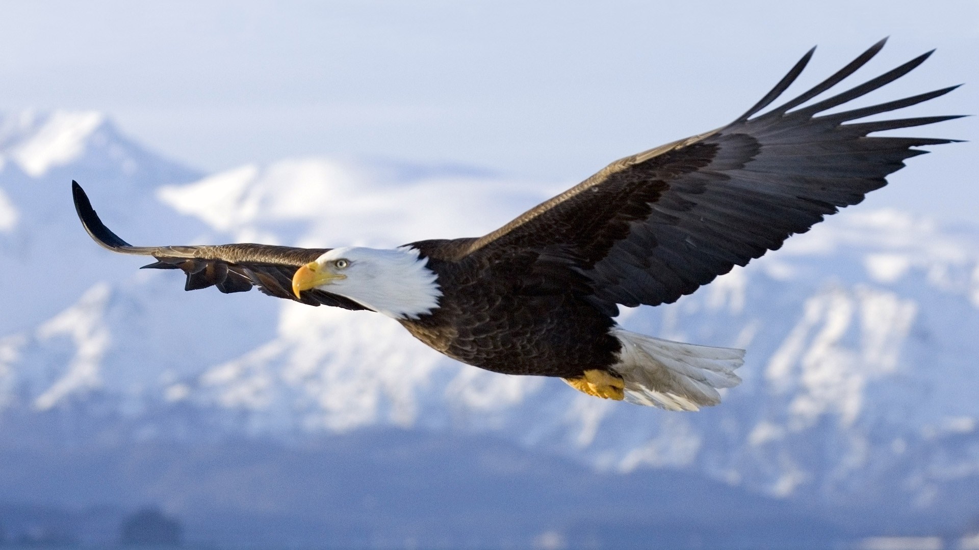 What is fear? How to overcome fear?