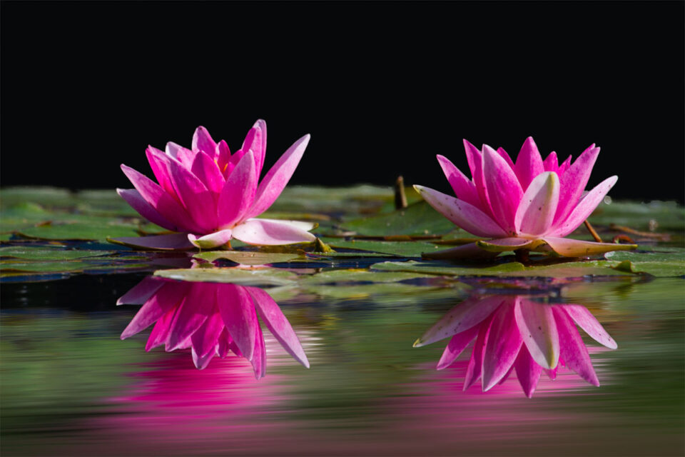 Perform work with detachment
