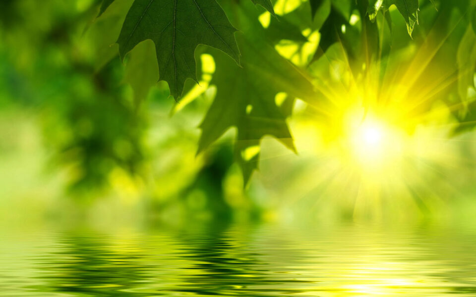 Talks with Ramana Maharshi (16)